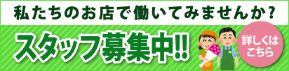 スタッフ募集