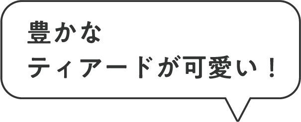 豊かなティアードが可愛い！