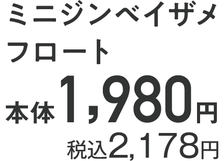 ミニジンベイザメ フロート